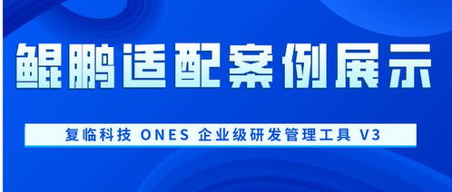 鲲鹏适配案例展示 复临科技 ones 企业级研发管理工具 v3