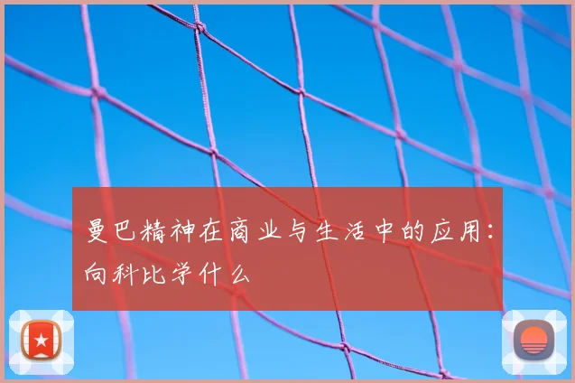 曼巴精神在商业与生活中的应用:向科比学什么