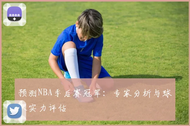预测NBA季后赛冠军：专家分析与球队实力评估